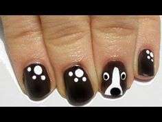 border collie nagels knippen